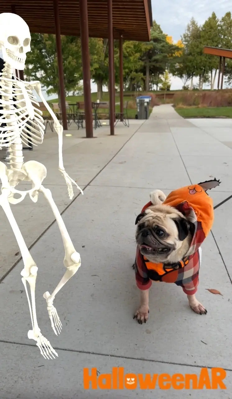 Halloween_2024-184021_1